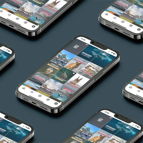 Création de visuels Instagram par Kalyko, studio graphique à Nantes